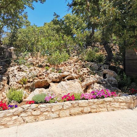 Villa Ermis - The Cretan Castello Kastellos Exterior photo
