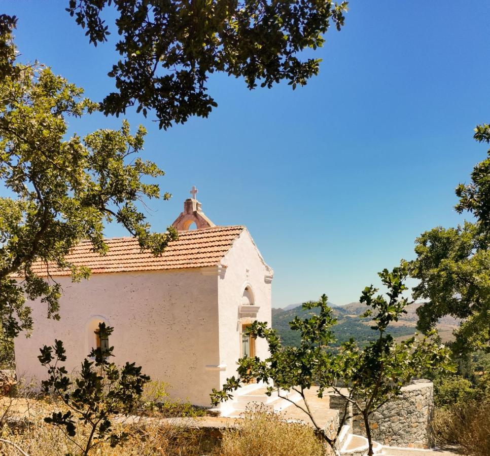 Villa Ermis - The Cretan Castello Kastellos Exterior photo