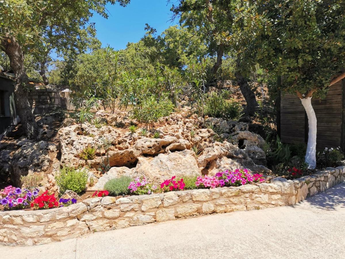 Villa Ermis - The Cretan Castello Kastellos Exterior photo