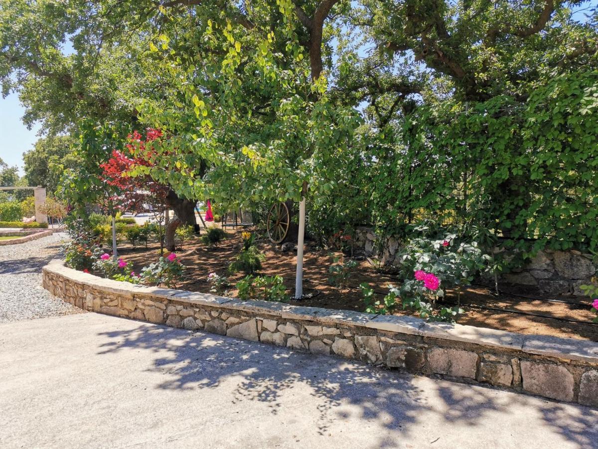 Villa Ermis - The Cretan Castello Kastellos Exterior photo